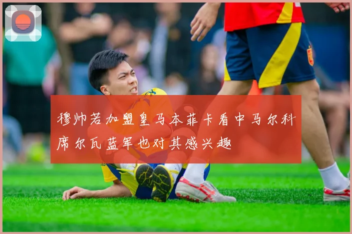 穆帅若加盟皇马本菲卡看中马尔科席尔瓦蓝军也对其感兴趣